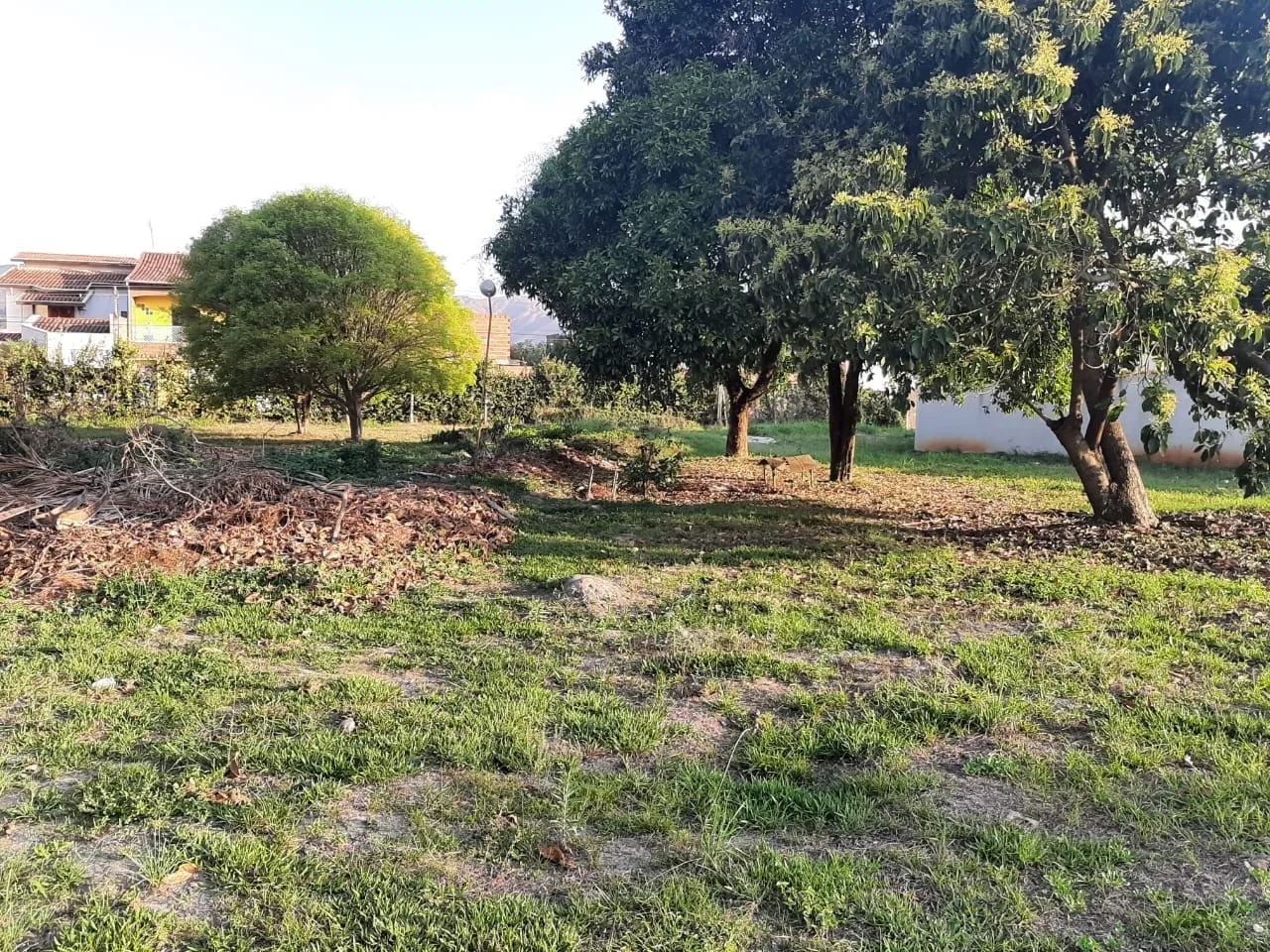 Imagem Terreno à venda 2260M², Chácara Tropical, Potim - SP