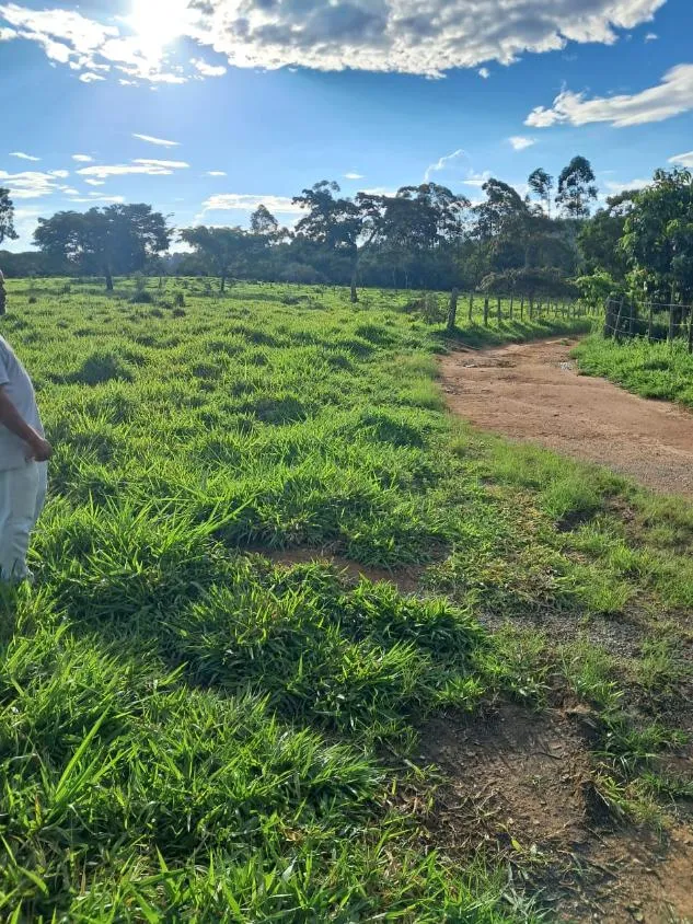Imagem VENDE-SE FAZENDA EM PASSA TEMPO / MG área total de 100 hectares