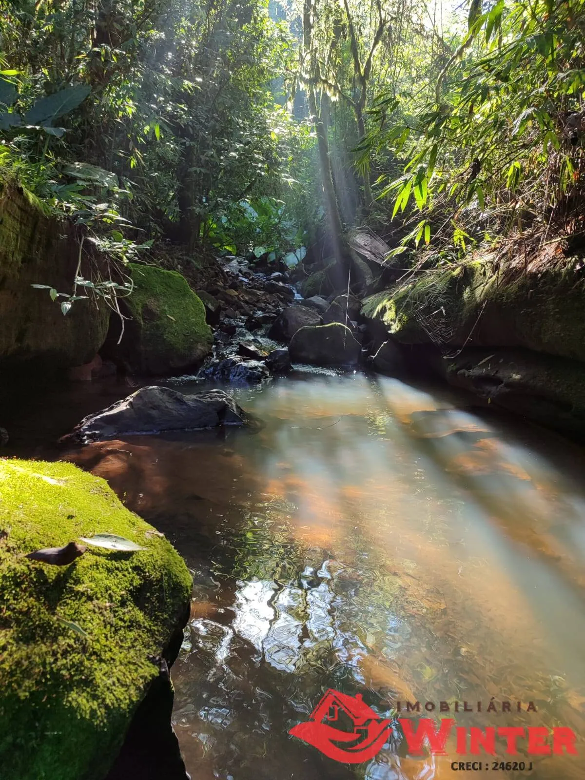 Imagem Área de terras com 21.000m² a venda no Canto Chuchu, Feliz