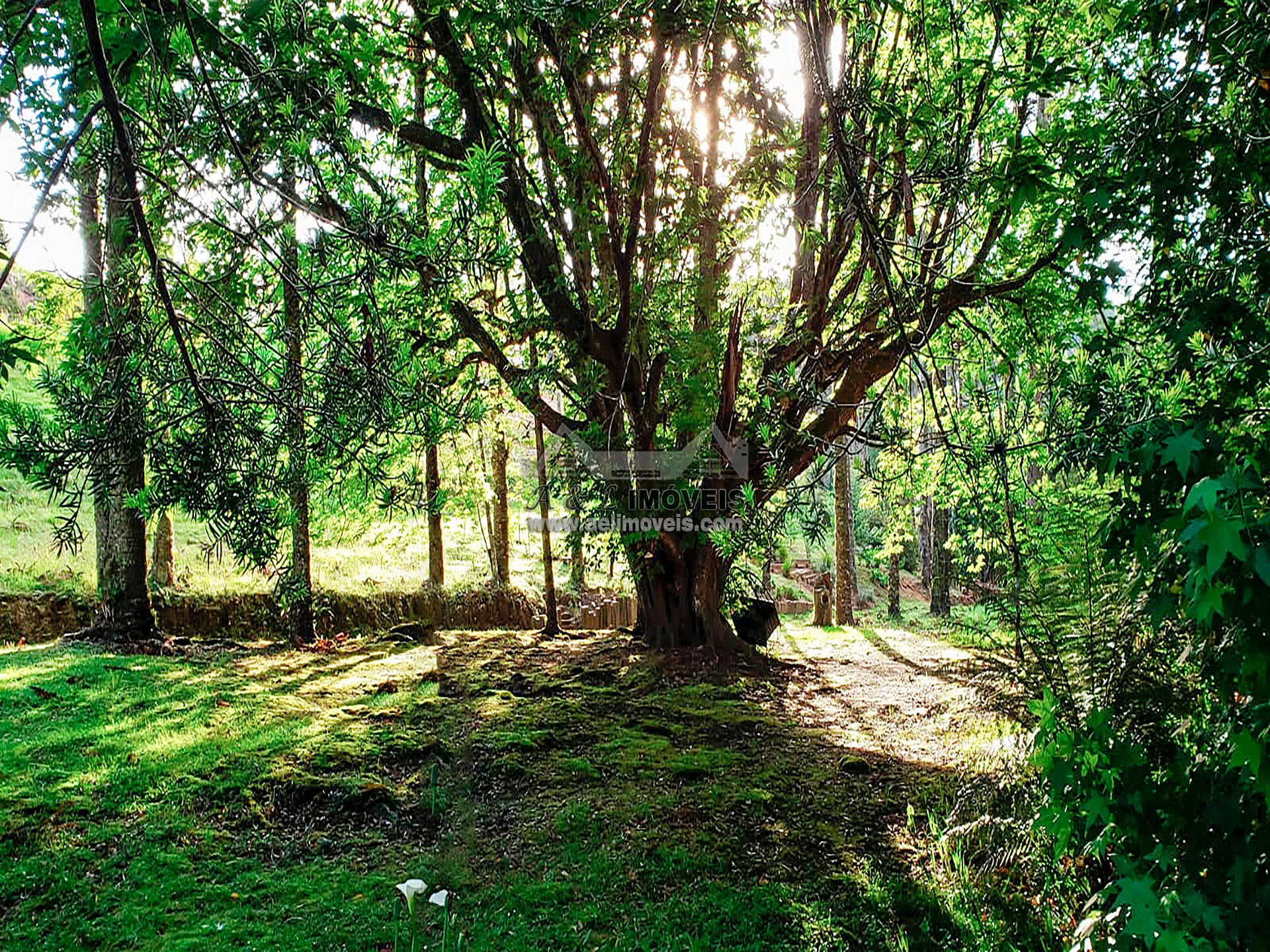 Imagem Terreno à venda em Campos do Jordão - Em loteamento de alto padrão