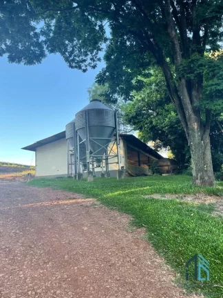 Imagem Sítio lindo a venda em ótima localização linha União da Serra em Guaraniaçu - PR