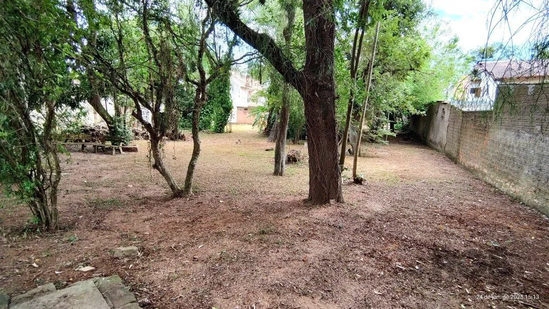 Imagem Terreno plano com 24,90m de frente, localizado no bairro Serraria.