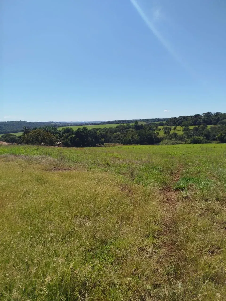 Imagem Fazenda à Venda, 28 Alq. GO em Área Rural de Itumbiara - Itumbiara