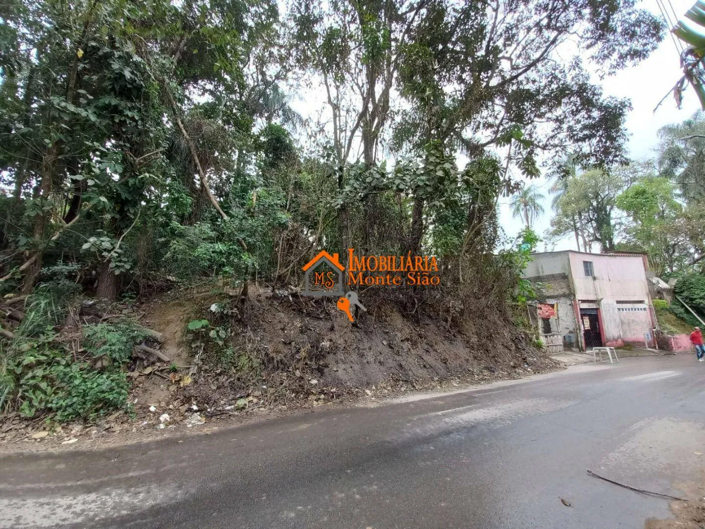 Imagem Área à venda, 2424 m² por R$ 1.200.000,00 - Três Cruzes - São Paulo/SP