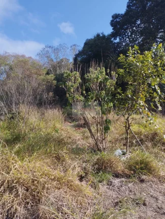 Imagem CHÁCARA JARDIM CANANÉIA