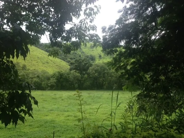 Imagem Chácara à venda 3 Quartos, 4873880M², Registro, Taubaté - SP