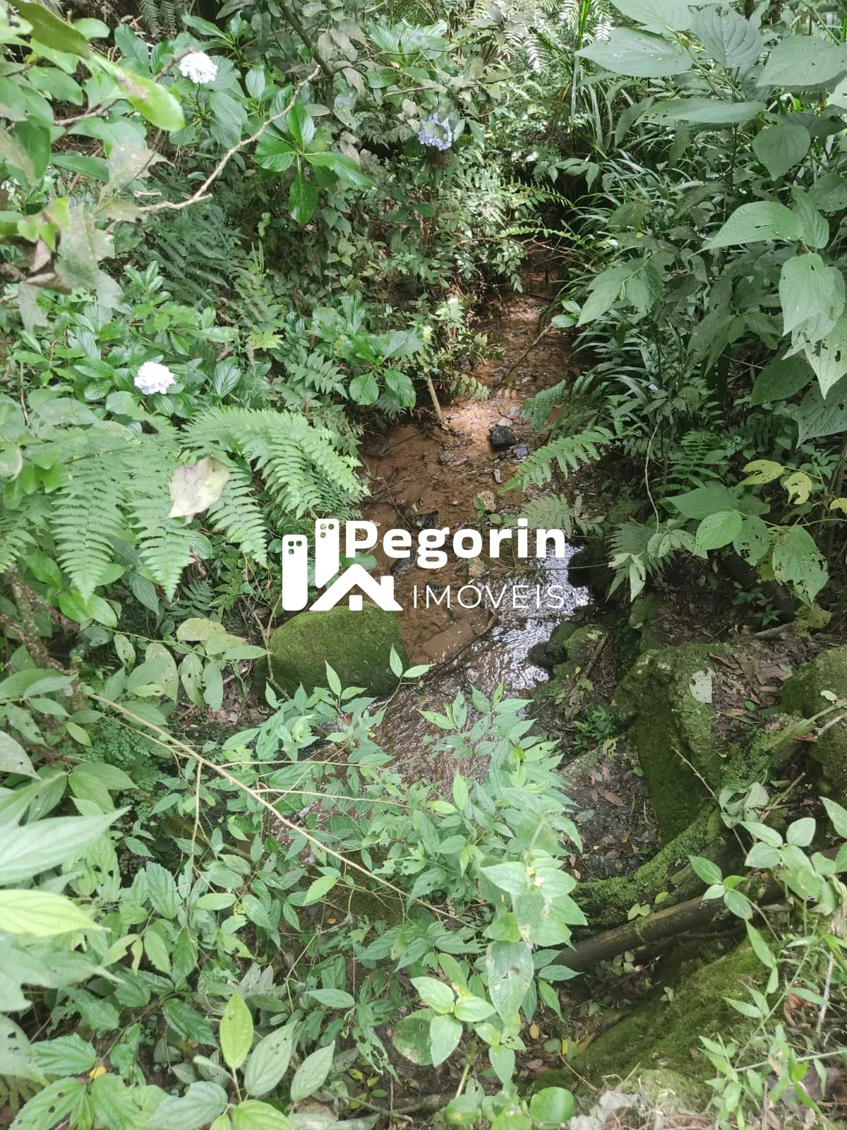 Imagem CHÁCARA EM CAMPO MAGRO 51.000M²