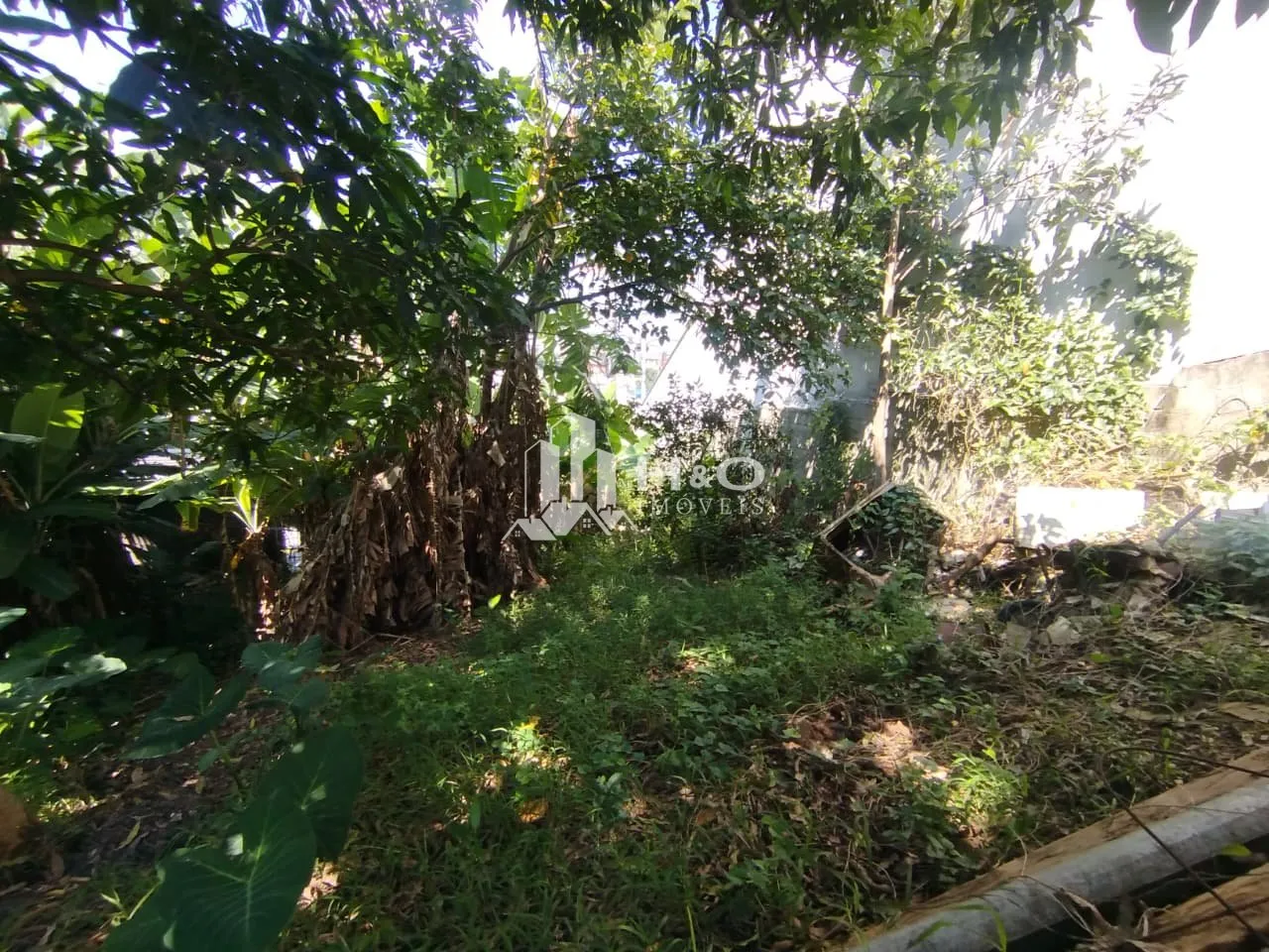 Imagem Excelente oportunidade em Ermelino Matarazzo!