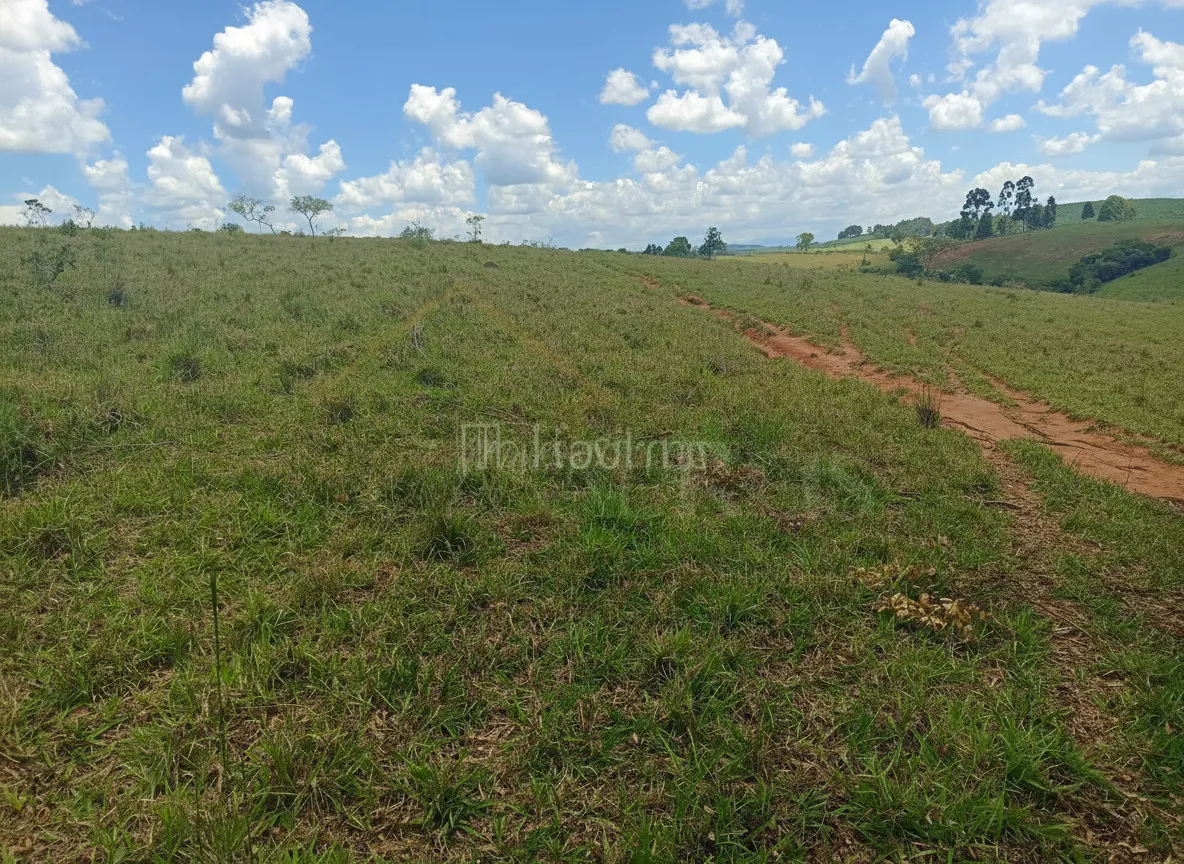 Imagem Sítio 50 m² à venda em Centro, Cruzília