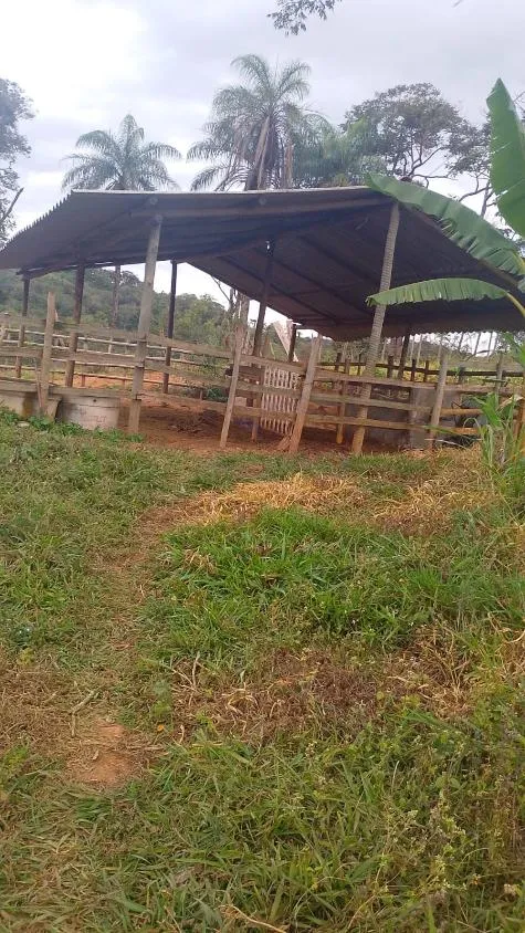 Imagem VENDO FAZENDINHA NA REGIÃO DE Brumadinho / MG Área total de 14 hectares