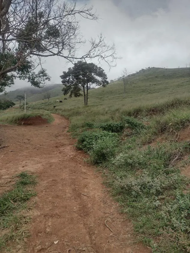 Imagem Terreno à Venda em São Domingos do Prata/MG com 25,5 hectares de terra