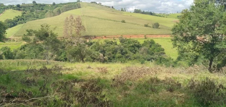 Imagem CHACARA RURAL em BANDEIRA DO SUL - MG, ROSEIRA