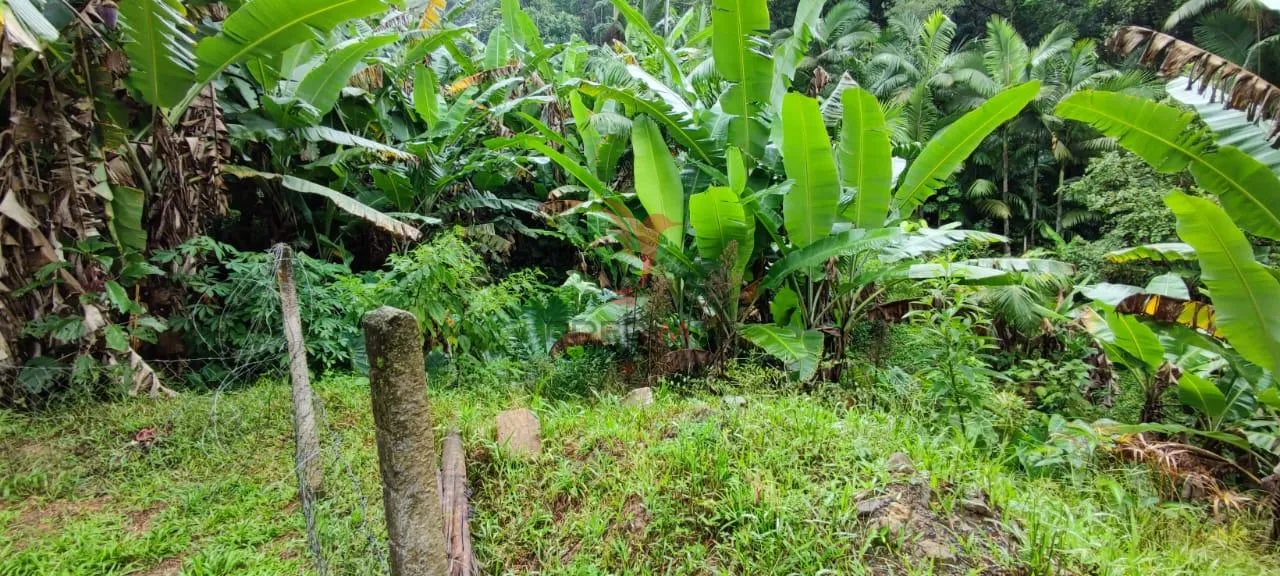 Imagem SITIO EM BLUMENAU, DOCUMENTAÇÃO TUDO OK ESTRUTURA DA CASA COM 8 CAMINHOES DE CONCRETO