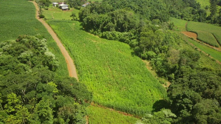 Imagem Área Agrícola para Venda em Concórdia, Rural