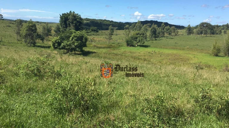 Imagem Fazenda à venda, 52 alqueires por R$ 9.100.000 - Estrada de São Vicente - Araruama/RJ