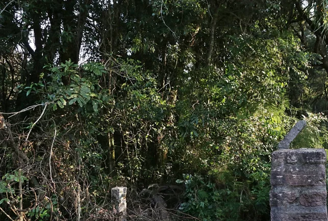 Imagem Lindos terrenos (2), belíssima mata nativa, privativo, Águas Claras