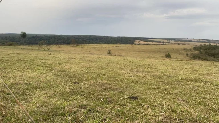 Imagem Fazenda à venda  Região Bauru/SP  235 alqueires