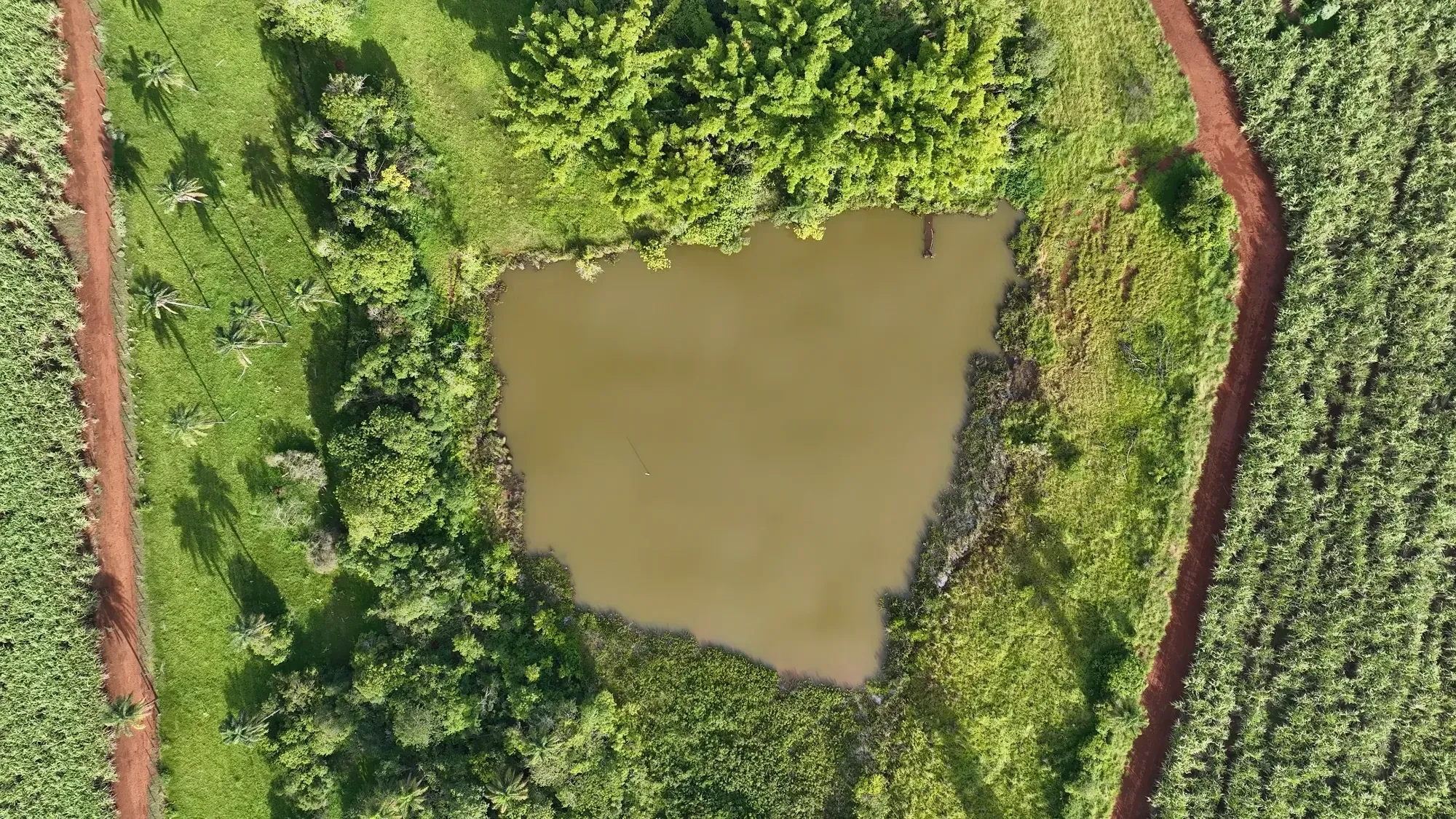 Imagem Fazenda à Venda, 232 HA em Zona Rural - Franca