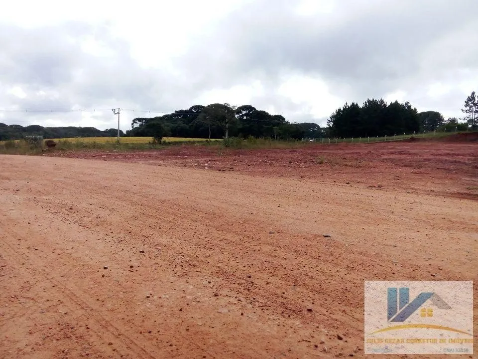Imagem Terreno para Venda em São José dos Pinhais, Campo Largo da Roseira