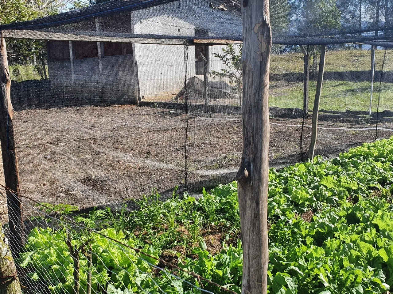 Imagem Chácara à venda 2 Quartos, 50000M², Zona Rural, Potim - SP