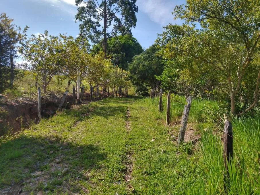 Imagem Sítio Terreno Rural Itaboraí - RJ - Curuzu (Cabuçu)