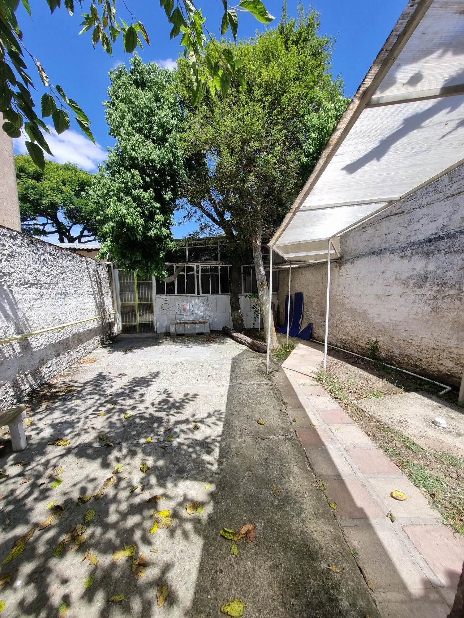 Imagem Casa Comercial em Menino Deus