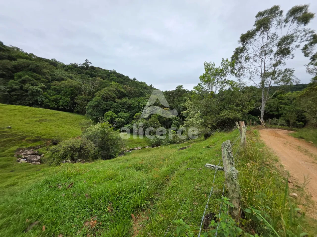 Imagem Sítio à venda em Antônio Carlos, SC, na Zona Rural - Morro da Gloria.