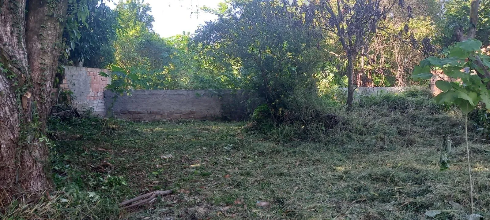 Imagem Terreno em Ipanema