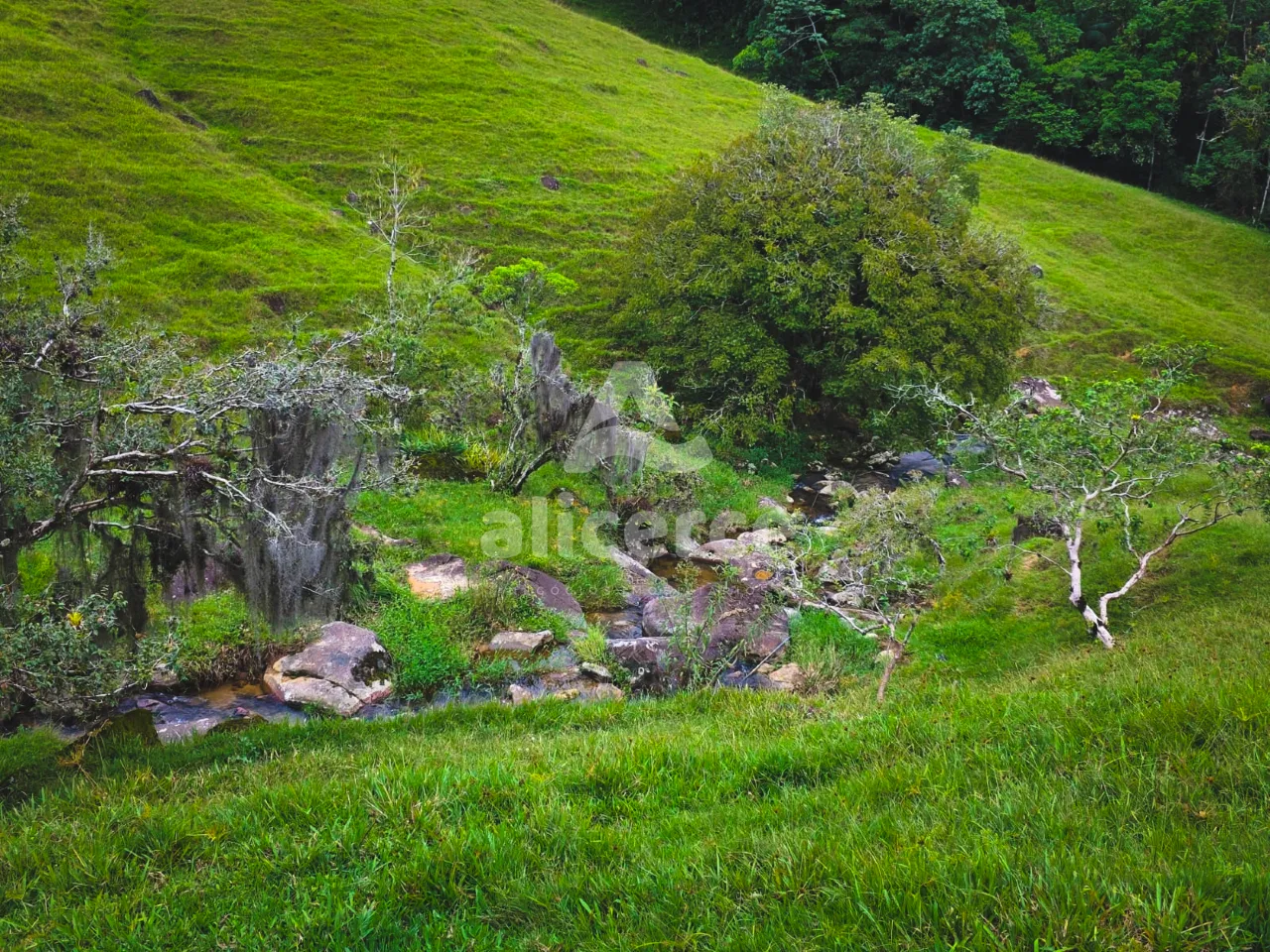 Imagem Sítio à venda em Antônio Carlos, SC, na Zona Rural - Morro da Gloria.
