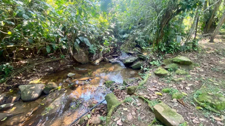 Imagem Oportunidade Imperdível: Casa à Venda em Encantada, Garopaba-SC!