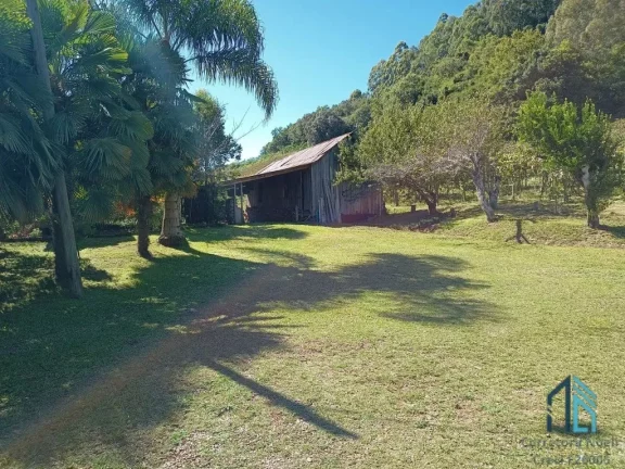 Imagem Terreno a venda, Área de 3.8 hectares em Fores da Cunha - Otávio Rocha RS
