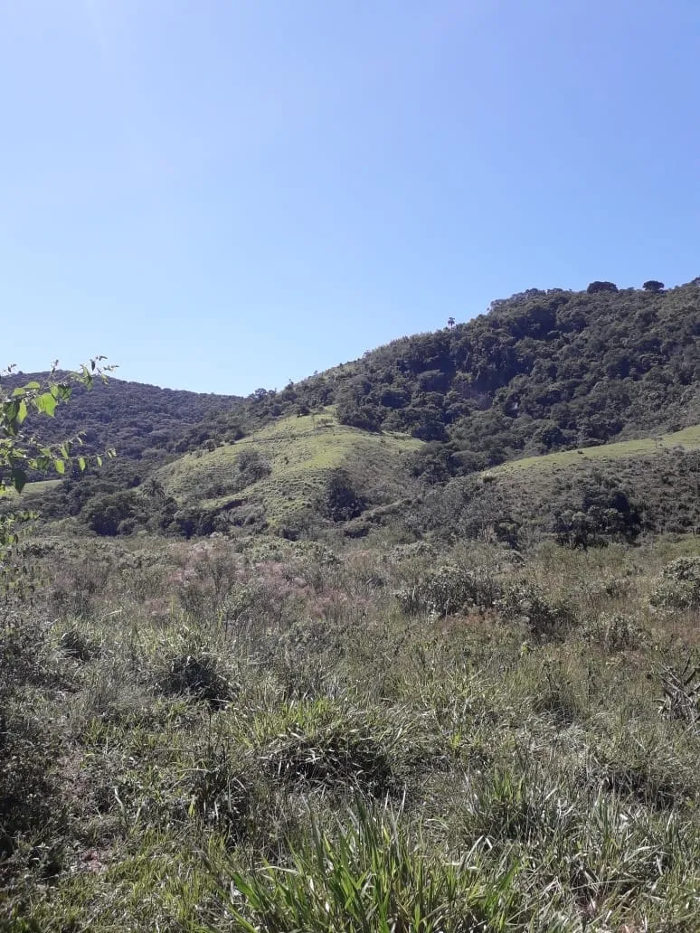 Imagem Chácara para Locação 840000M², Mandú, Pindamonhangaba - SP