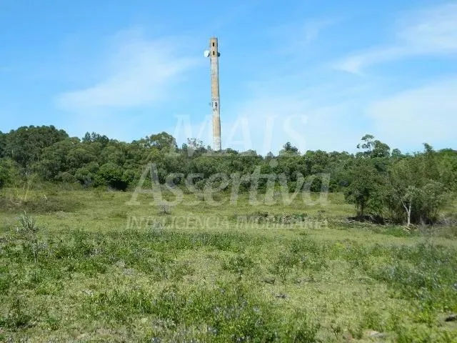 Imagem Excelente sítio para venda localizado no bairro Morungava em Gravataí/RS
