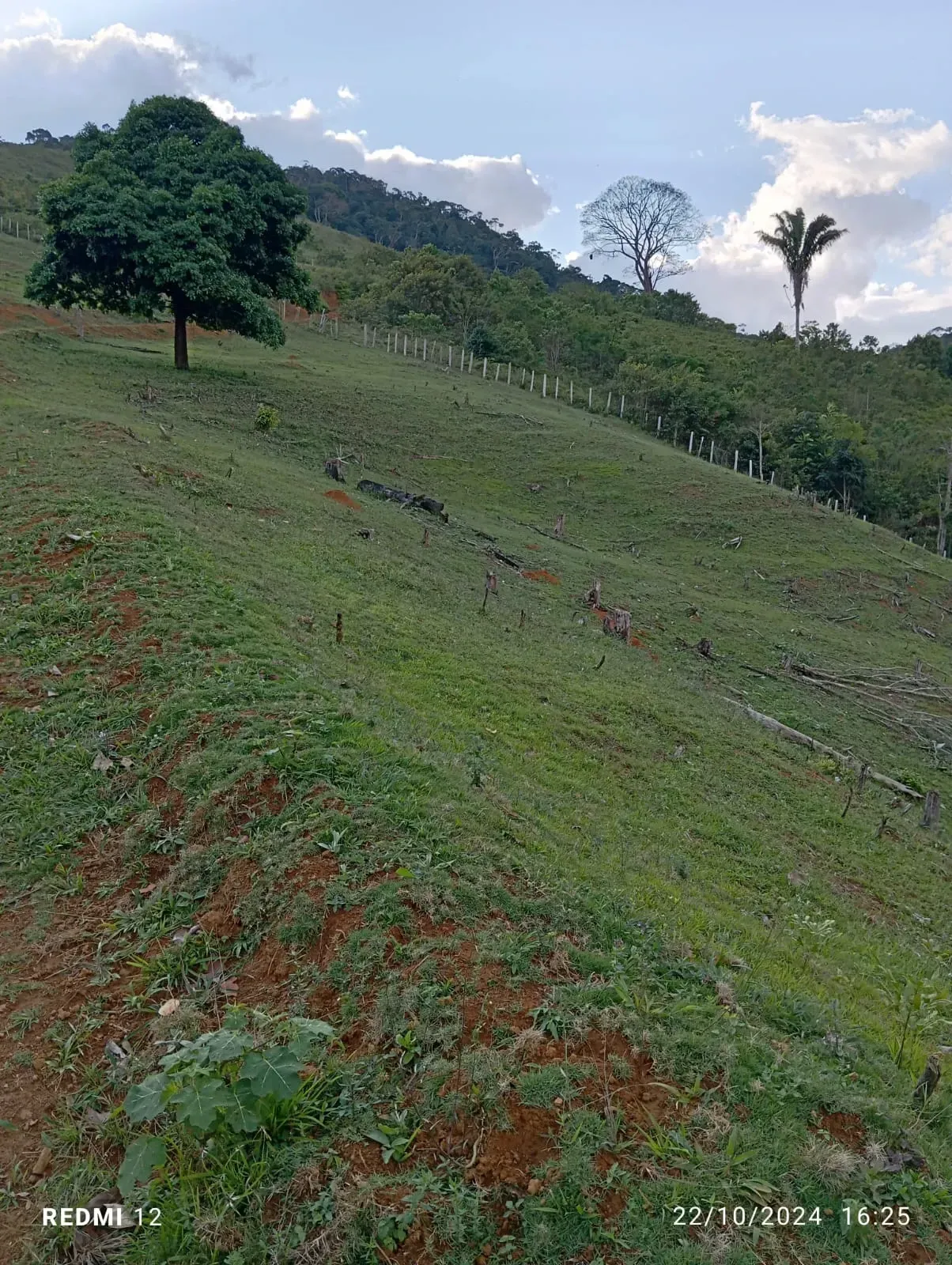 Imagem Fazenda à Venda, 300.000 m² em Ibirataia - Ibirataia