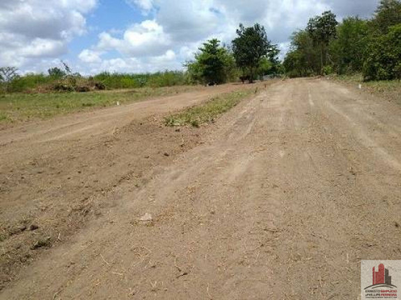 Imagem Terreno à Venda, 50.000 m² em Aldeia dos Camarás - Camaragibe