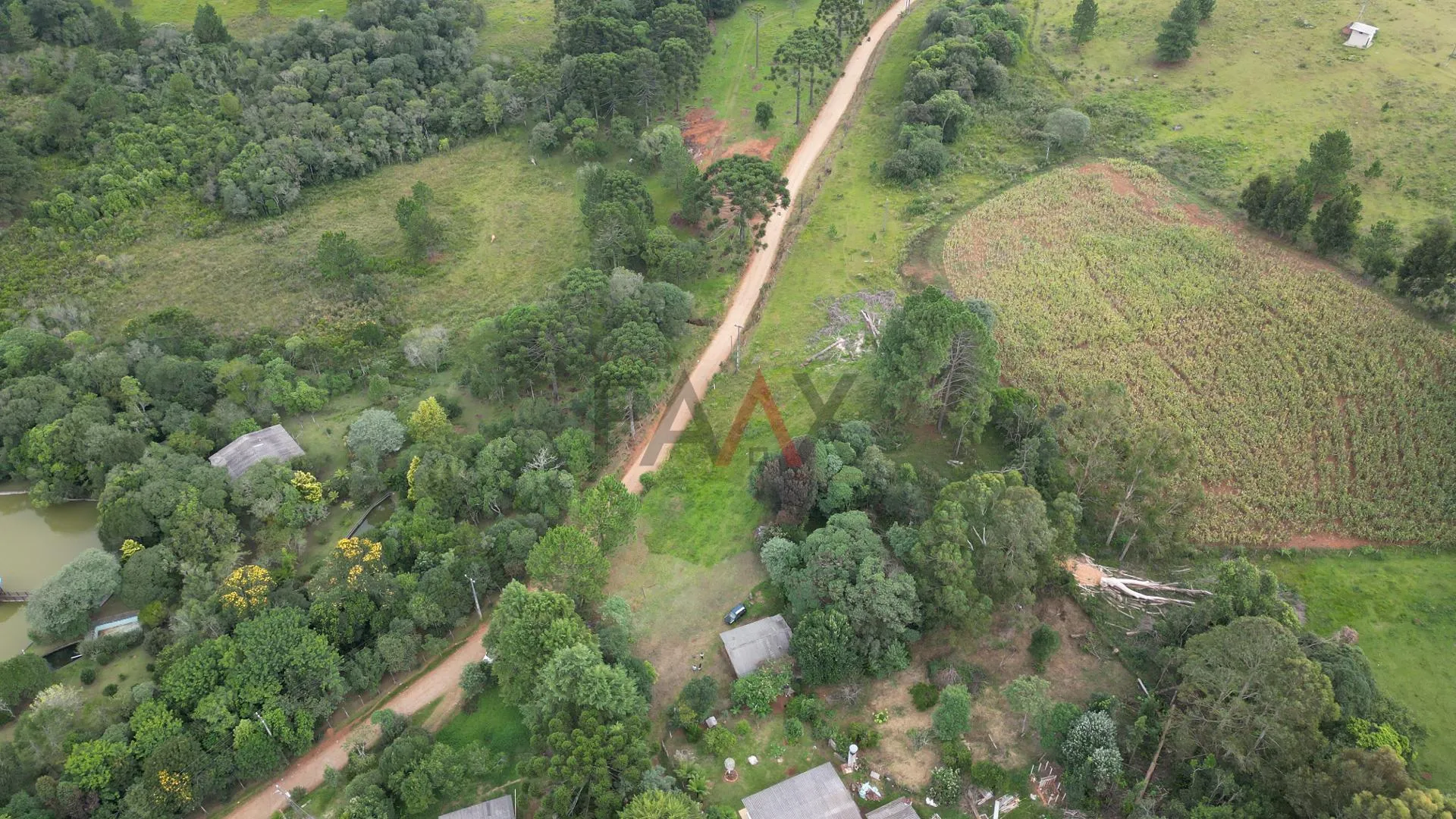 Imagem Terreno à venda, MORRO ALTO, GUARAPUAVA - PR