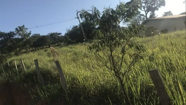 Imagem Chácara à venda 2300M², Zona Rural, São Luiz do Paraitinga - SP
