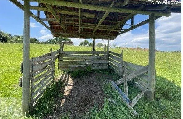 Imagem Área 20.000m2 - Bairro Belém Velho
