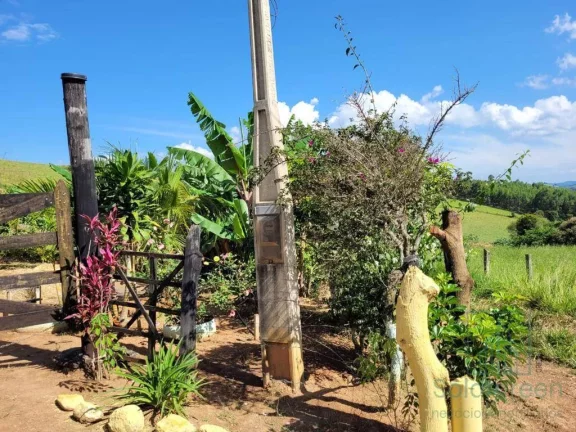 Imagem Chácara à venda em Socorro, terreno com 2000m², 4 dormitório