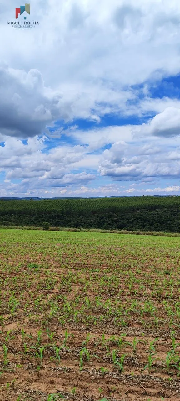 Imagem Fazenda a venda São Miguel Arcanjo SP