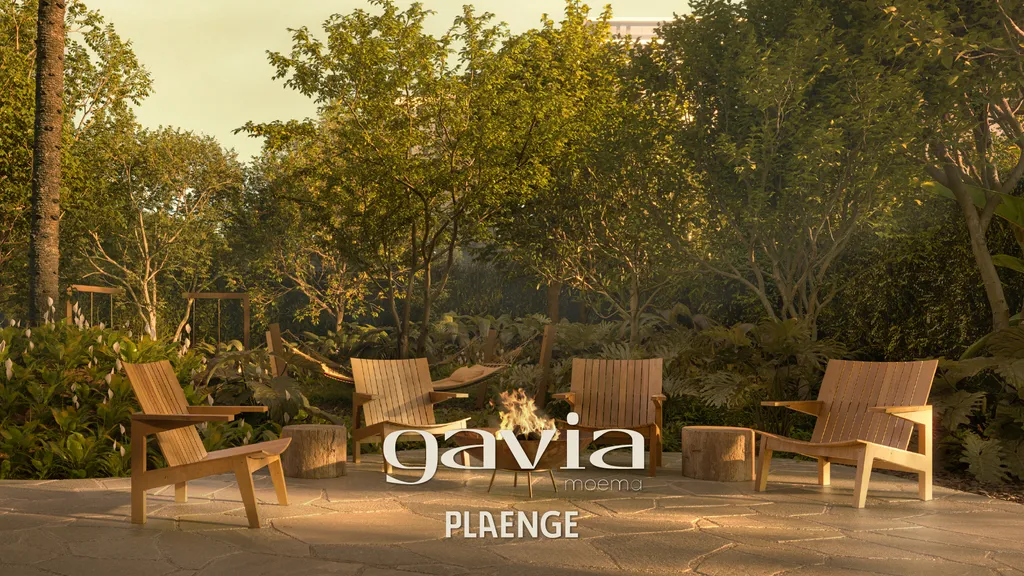 Imagem Gavia Moema - Breve Lançamento - Gavia Moema
