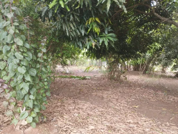 Imagem CHÁCARA JARDIM CANANÉIA