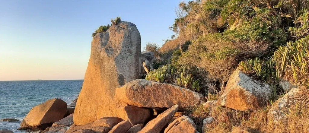 Imagem Terreno para Venda - Ponta das Canas - Florianópolis