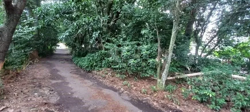Imagem Terreno em Camaquã