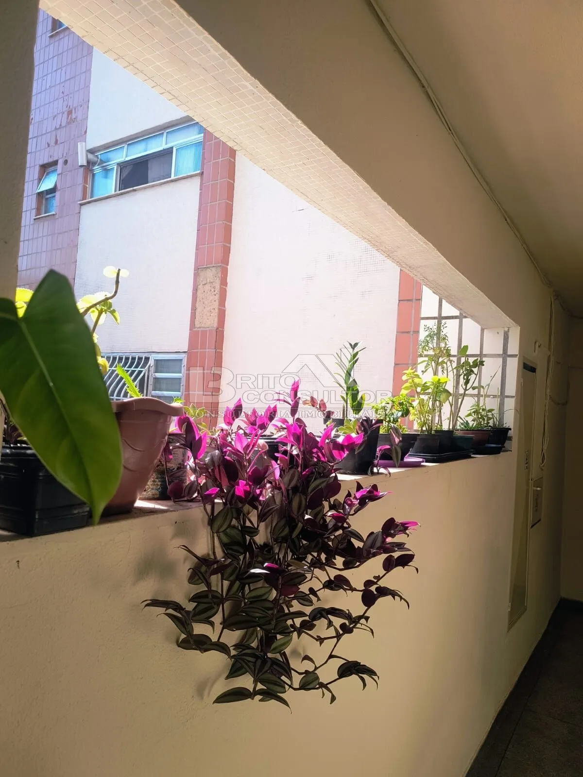 Imagem Condomínio Residencial Vilage das Mangueiras - Apartamento à Venda, 2 Quartos 55 m² em Alcântara, 1 Vaga - São Gonçalo/RJ