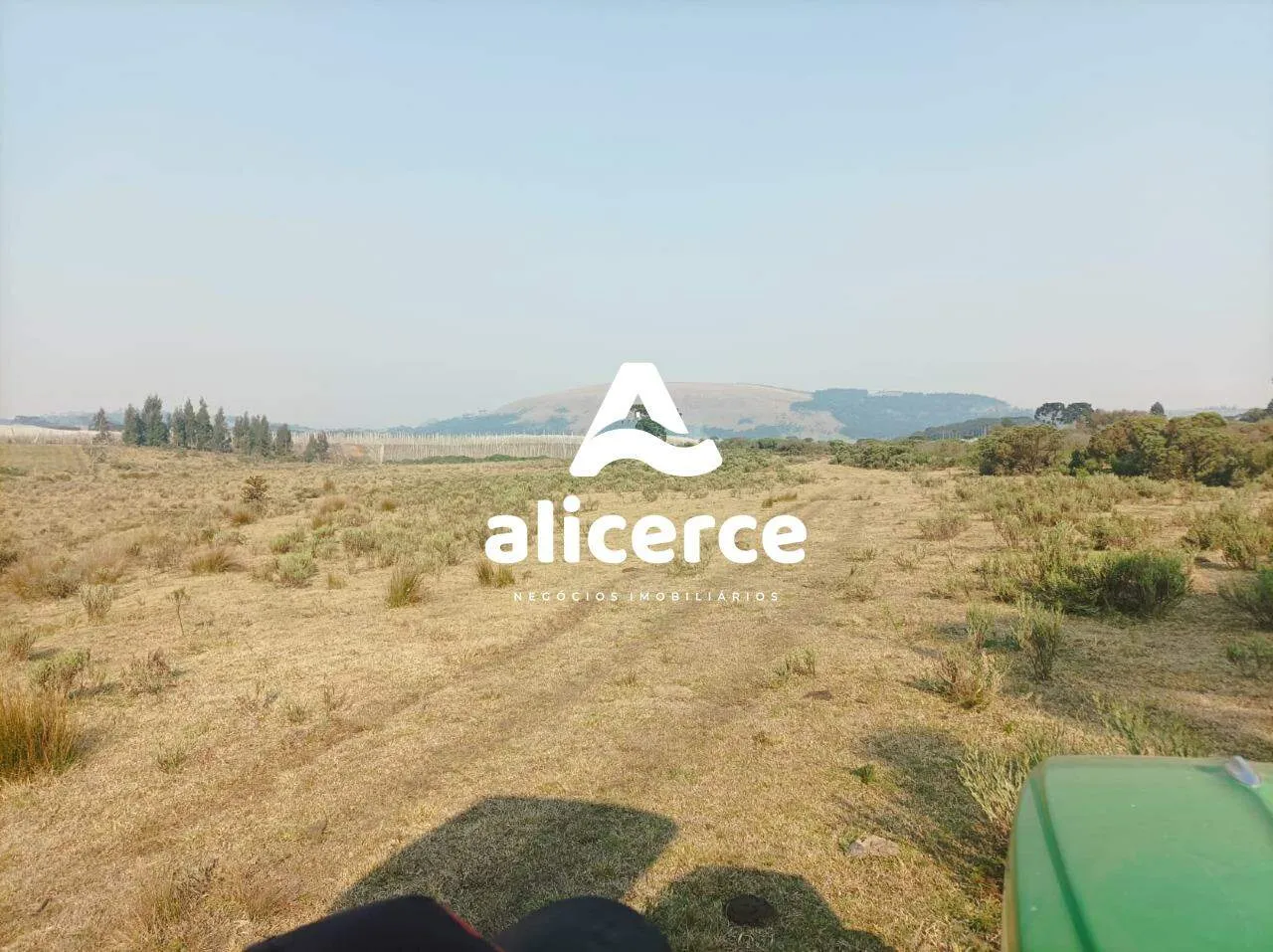 Imagem Fazenda Produtiva à Venda em São Joaquim/SC | 3.200 Macieiras | Araucárias | Lago | Nascente | Exclusividade Imobiliária Alicerce