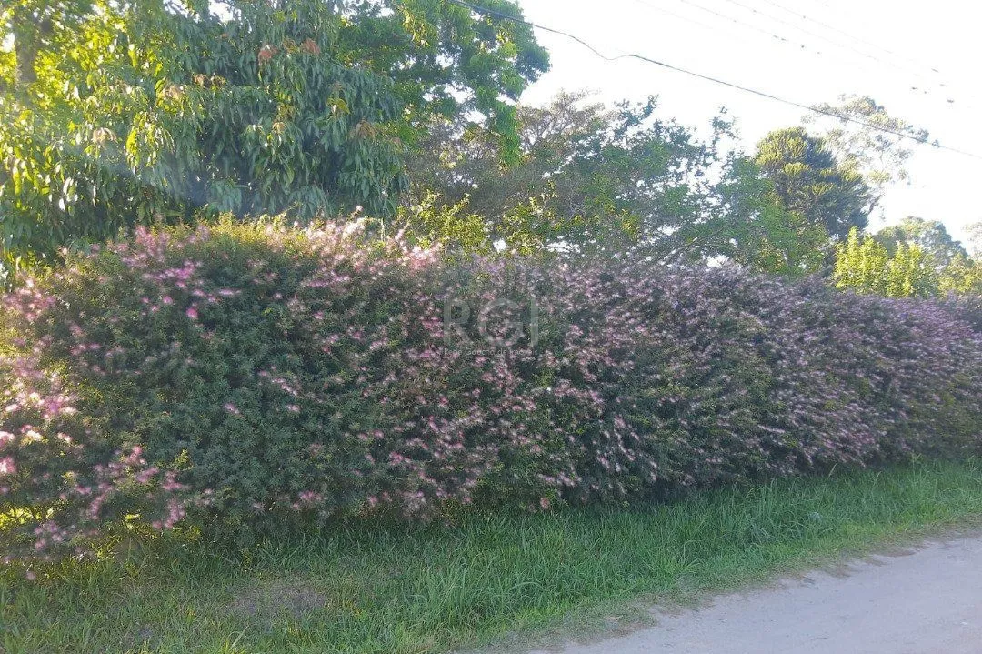 Imagem Sítio para Venda - 3330m², 3 dormitórios, sendo 1 suites, Itapuã