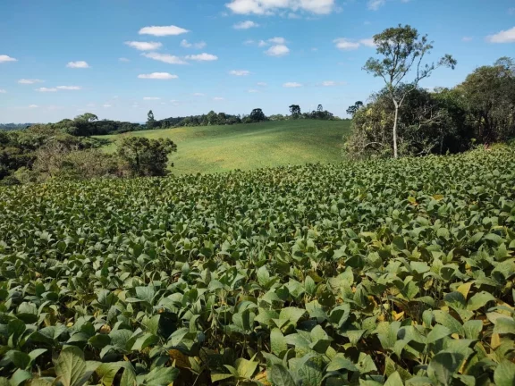 Imagem TERRENO RURAL em CAMPO BELO DO SUL - SC, Área Rural