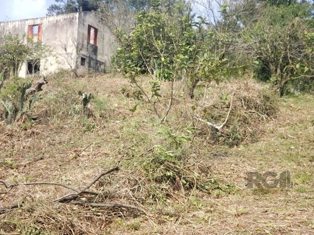 Imagem Terreno em Vila Nova