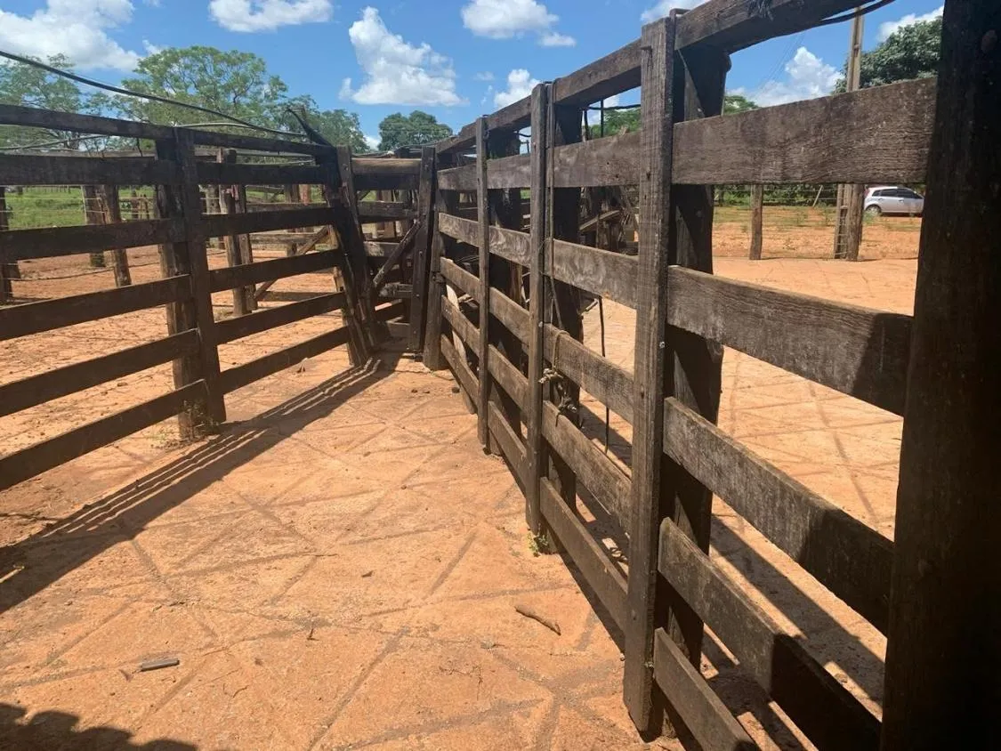 Imagem FAZENDA a venda 95ha em CURVELO/MG